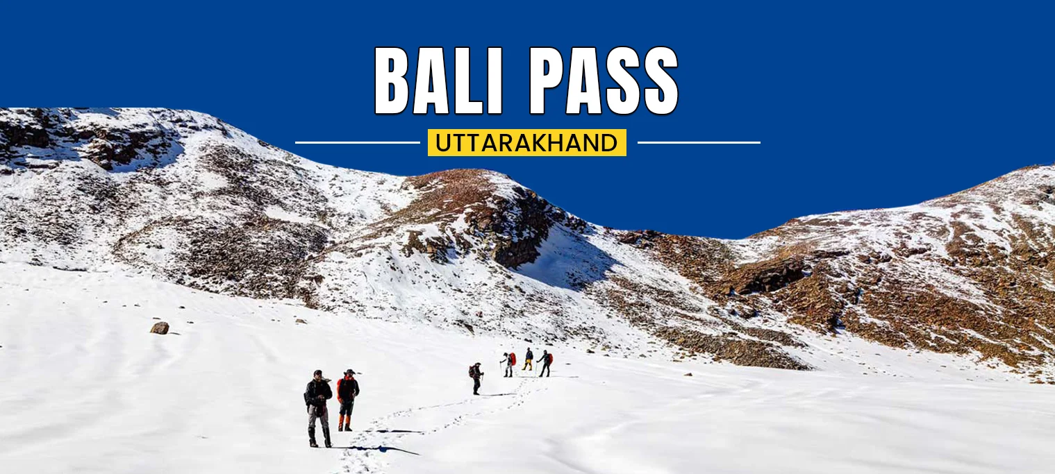 9265Bali pass.webp