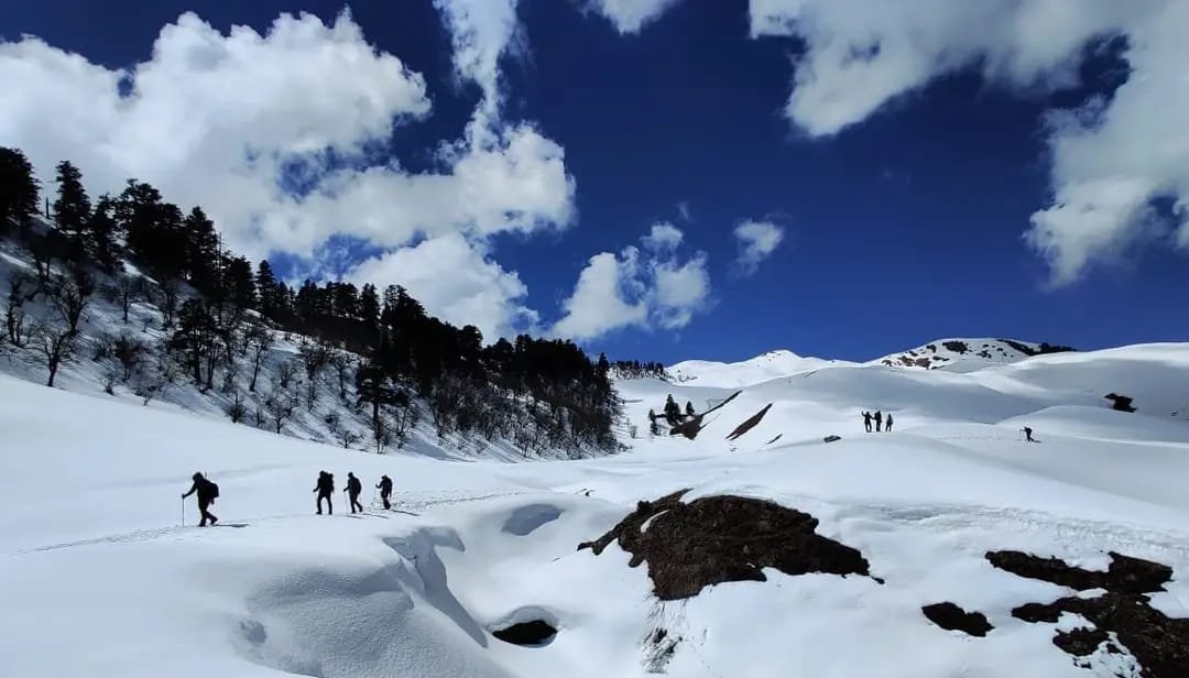 Dayara Bugyal Trek - Winter Trek