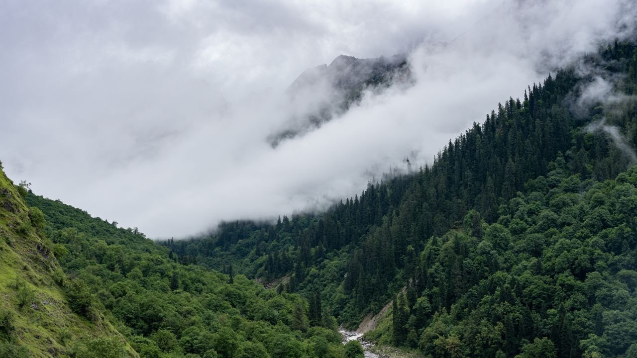 Valley of Flowers Trek Complete Guide: Itinerary, Tips & More -popular