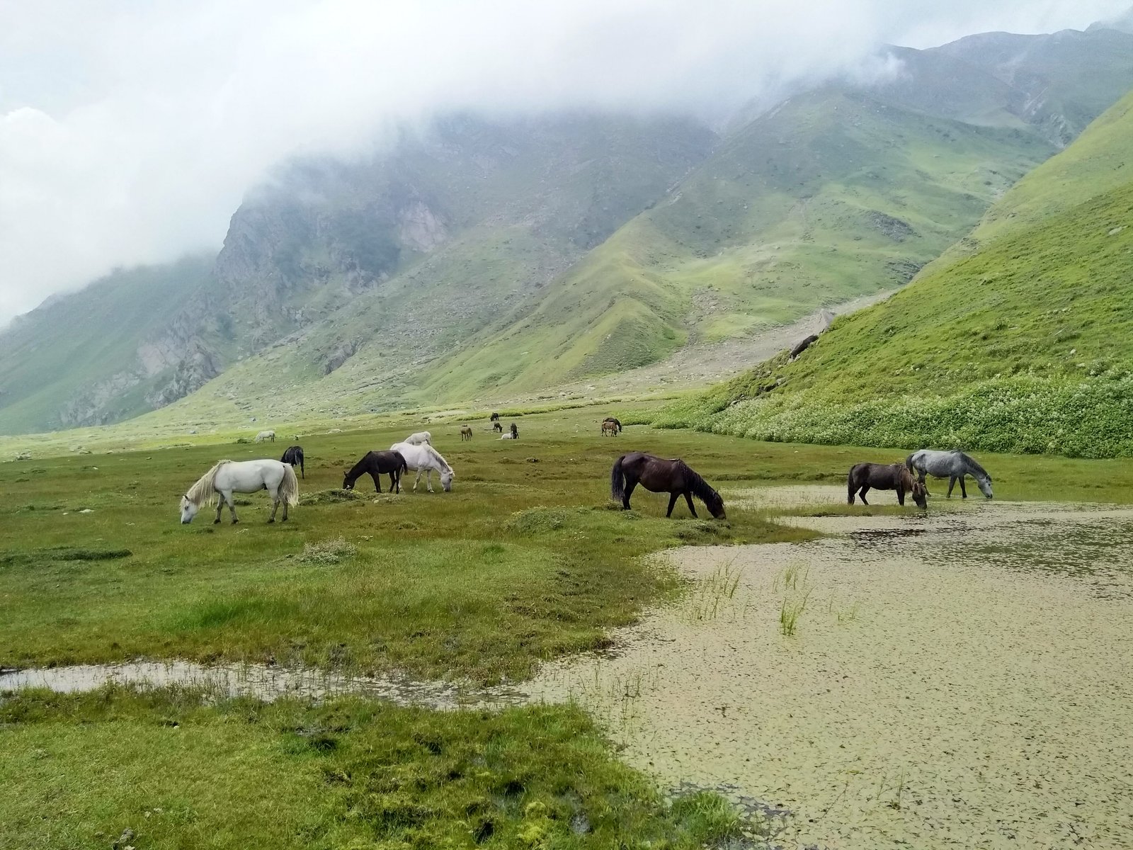 Doodhpathri Trek