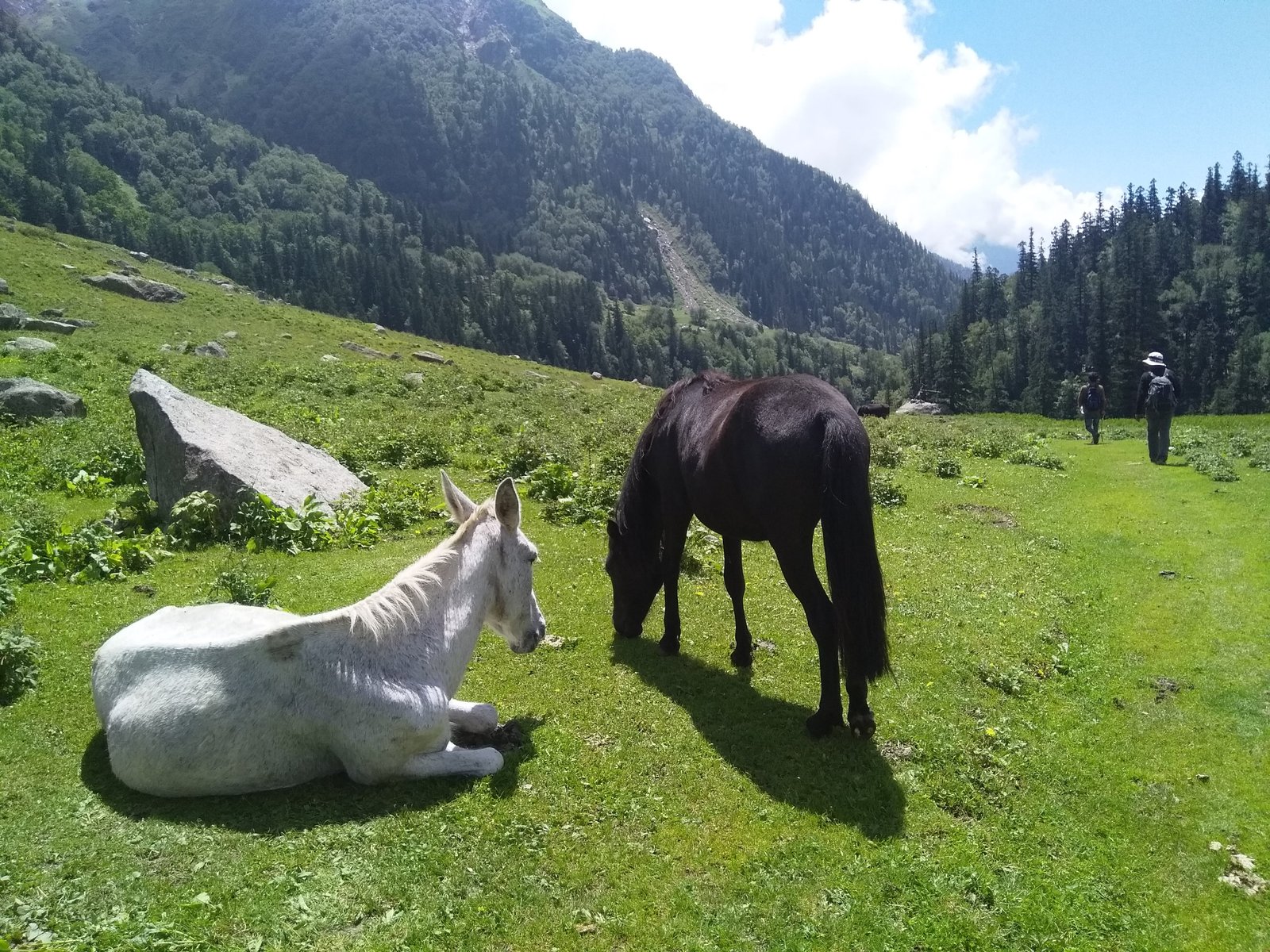 Gallery - Doodhpathri Trek