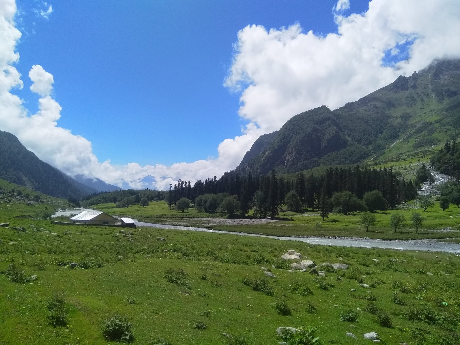 Doodhpathri Trek Kashmir