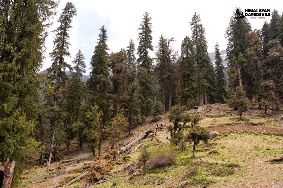 Triyuginarayan Temple Trek