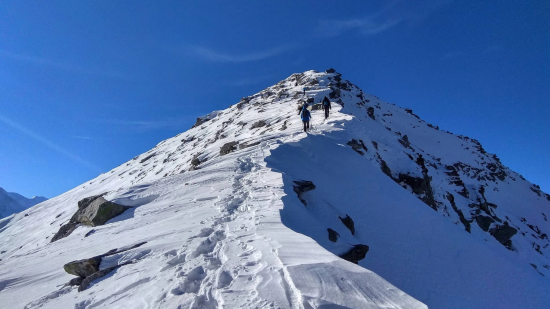 Which is Better: Pangarchulla Peak Trek or Kuari Pass Trek? -popular
