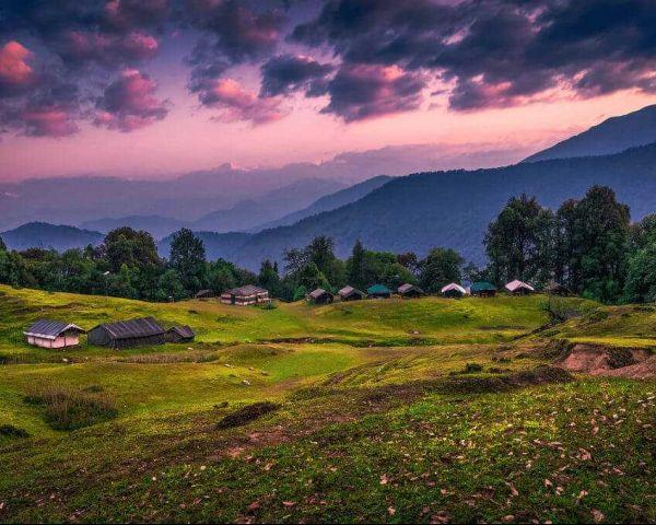 Why Chopta is Called the Mini Switzerland of India? (Complete Travel Guide 2026)